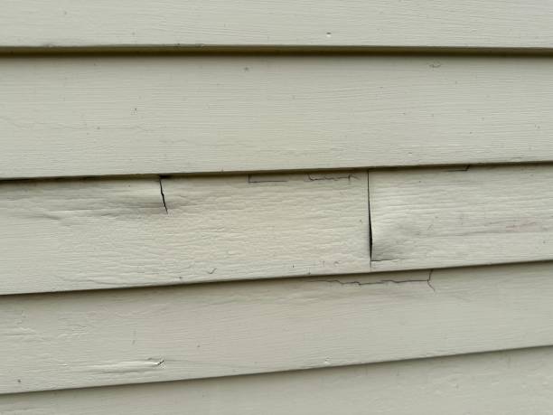 Best Property Management Cleanouts  in Pacific, MO